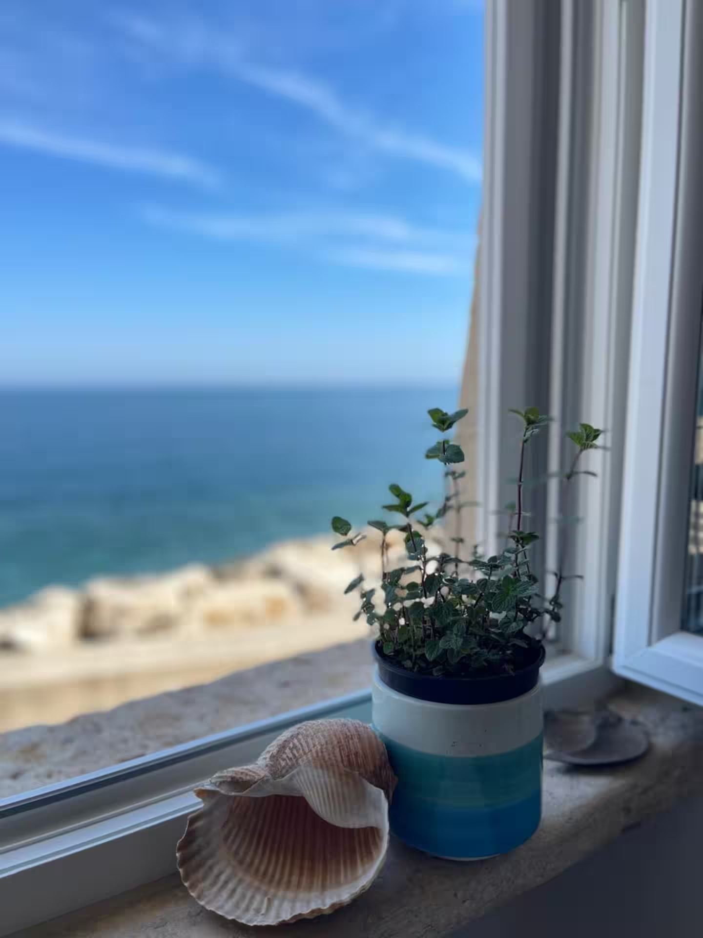 Vista mare dalla finestra con conchiglie